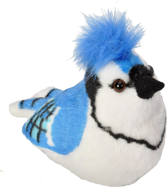 Deluxe Bird Bundle