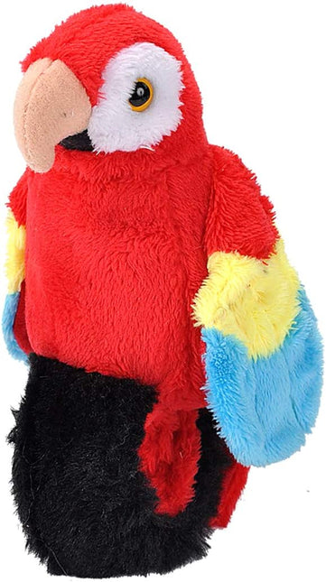 Deluxe Bird Bundle