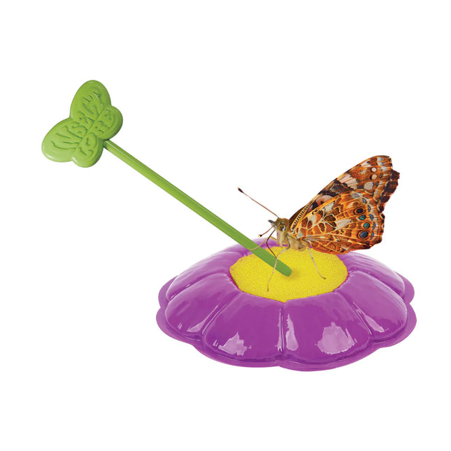 Butterfly Garden with Free Shipping and Voucher