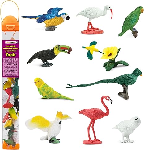 Deluxe Bird Bundle