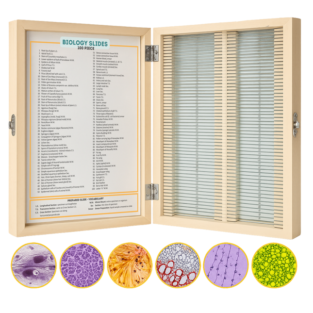 100 Biology Microscope Slide Collection