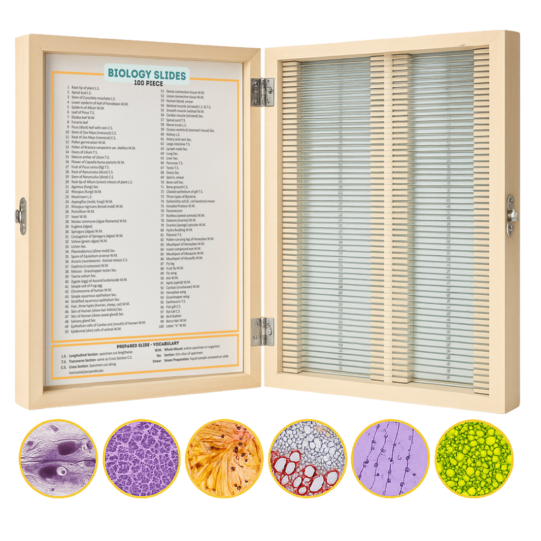 100 Biology Microscope Slide Collection – Easy Peasy Science