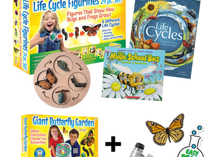 Butterfly Life Cycle Bundle image 0