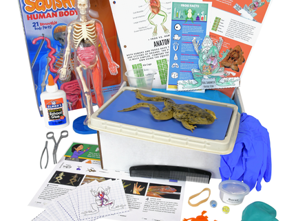 Biology Dissection Box Bundle 6-in-1 image 8