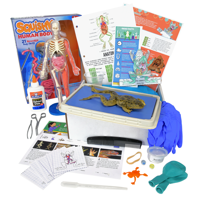 Biology Dissection Box Bundle 6-in-1 image 8