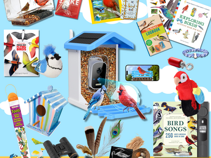 Deluxe Bird Bundle