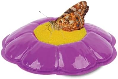 Giant Butterfly Garden