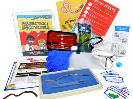 Biology Dissection Box Bundle 6-in-1 image 3