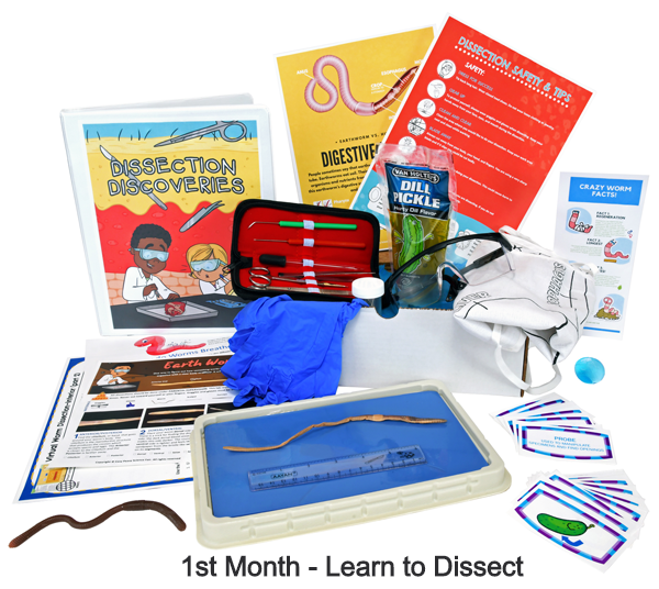 Biology Dissection Box Bundle 6-in-1 image 3