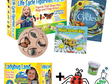 Ladybug Life Cycle Bundle image 0