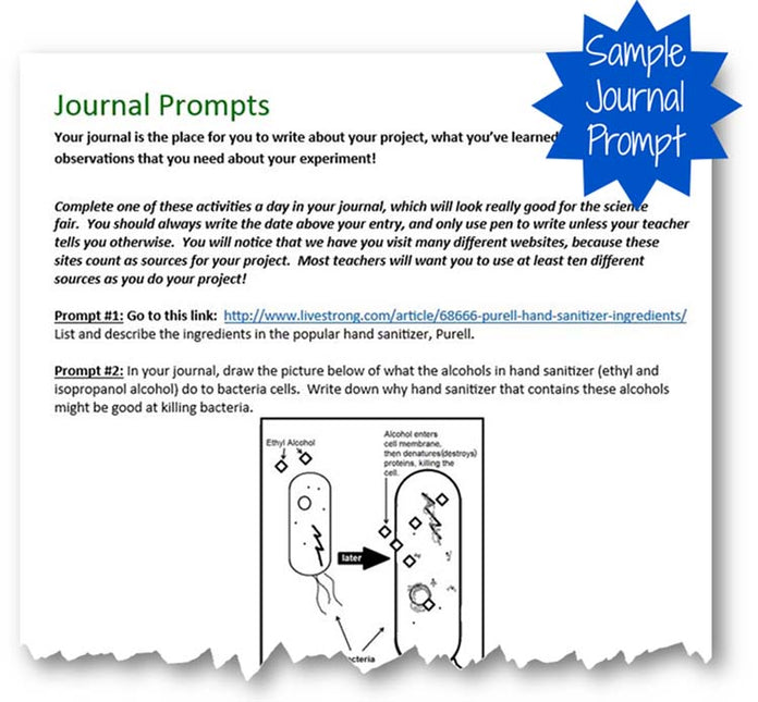 Bacteria vs Sanitizer - Science Project Kit image 4