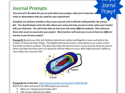 5 Second Rule- Science Project image 4