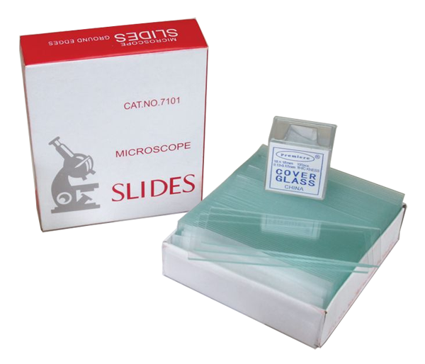 Blank Microscope Slides and Coverslips image 0