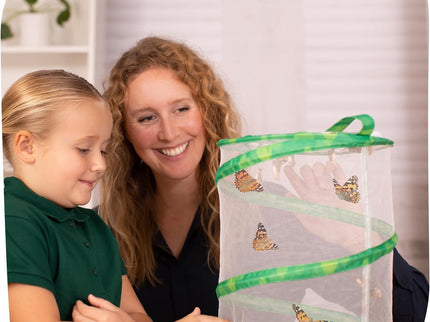 Butterfly Garden with Free Shipping and Voucher