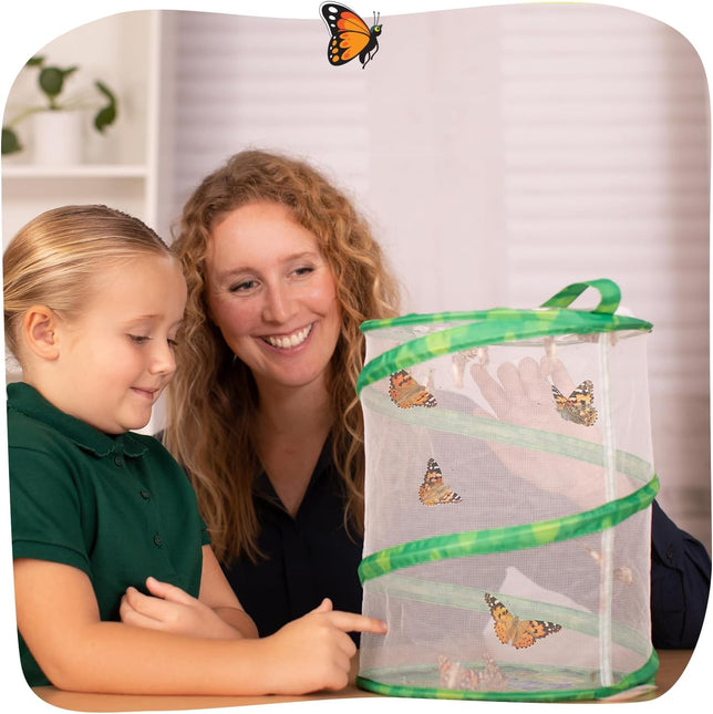Butterfly Garden with Free Shipping and Voucher