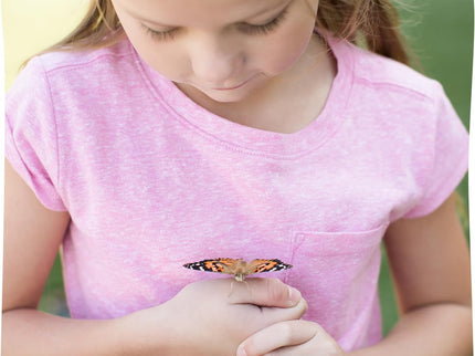 Giant Butterfly Garden