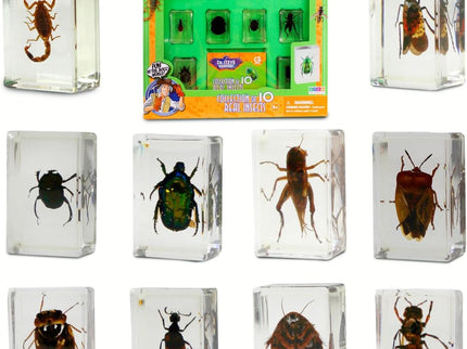 Dr. Steve Hunters Bugs World Collection