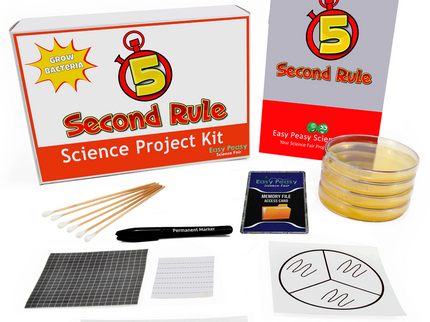 5 Second Rule- Science Project image 0