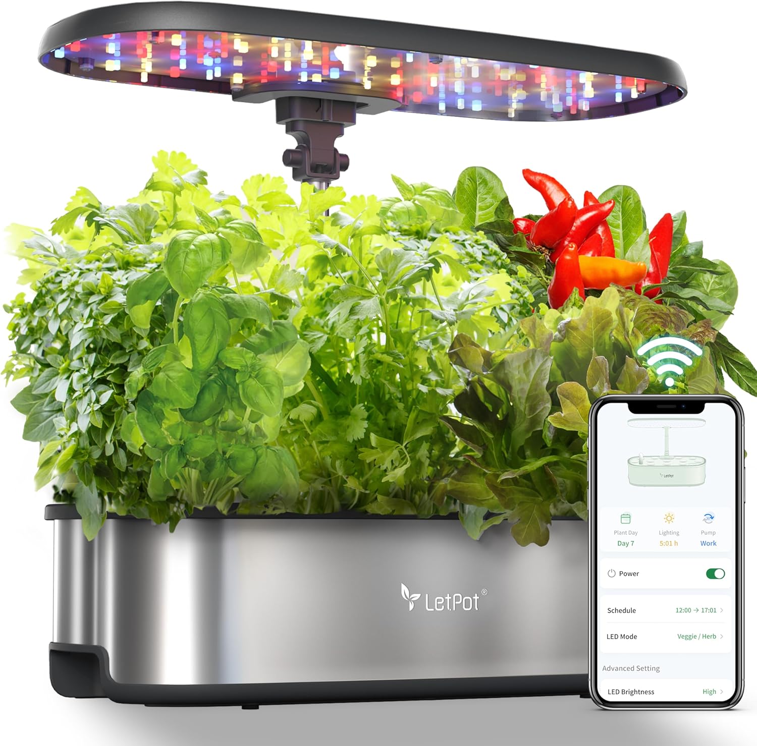planting seeds in hydroponic system LetPot 12-Pod Hydroponic Growing System with Seeds