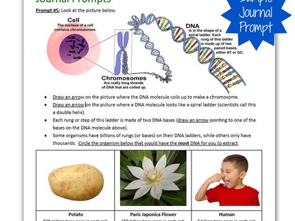 DNA Extraction - Science Project Kit image 4