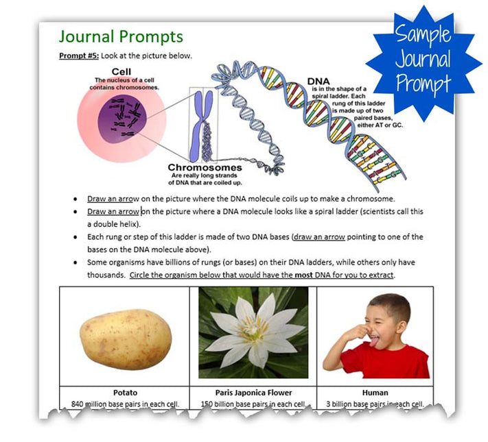 DNA Extraction - Science Project Kit image 4