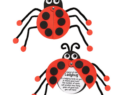 Ladybug Life Cycle Bundle image 8