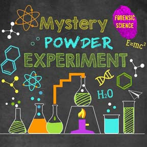 Mystery Powder Forensic Lab image 4