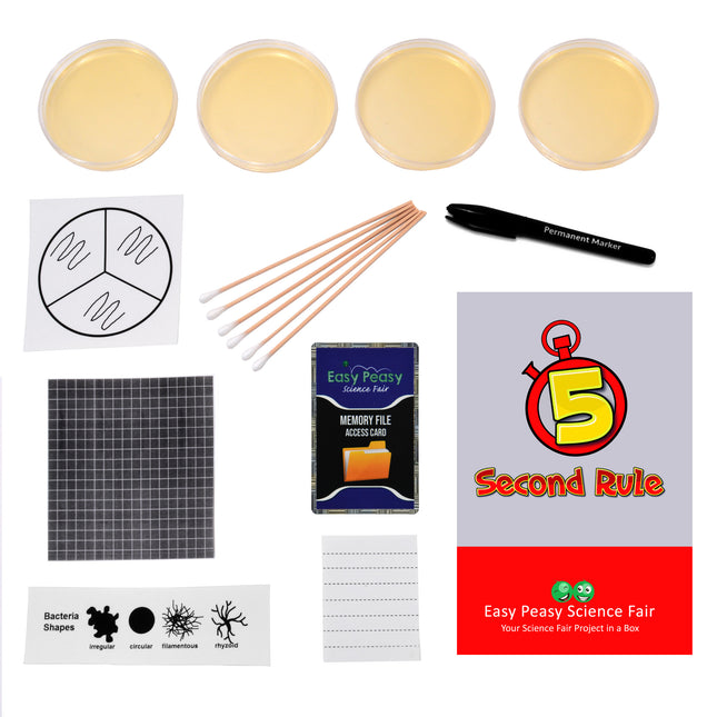 5 Second Rule- Science Project image 2