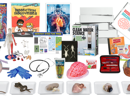 Biology Dissection Subscription Boxes image 2