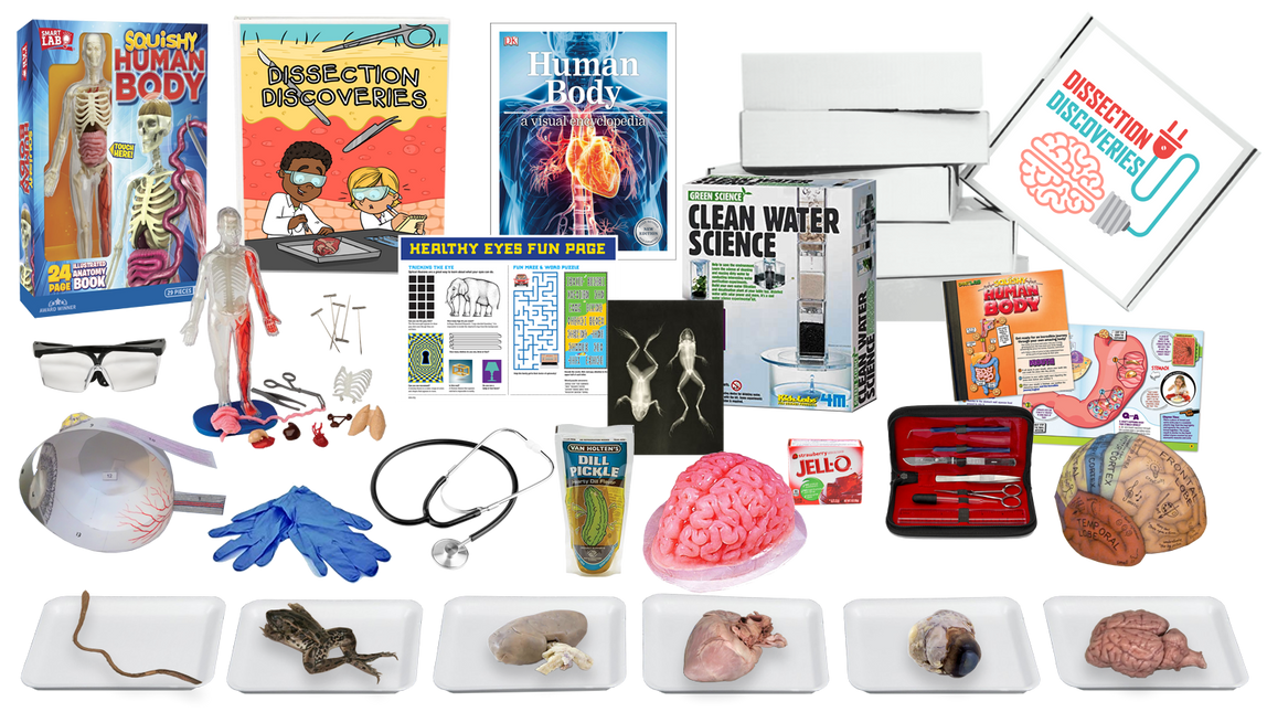 Biology Dissection Subscription Boxes image 2