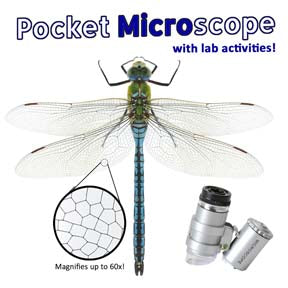 Easy Peasy Pocket Microscope image 0