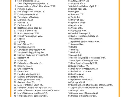 100 Biology Slide Collection