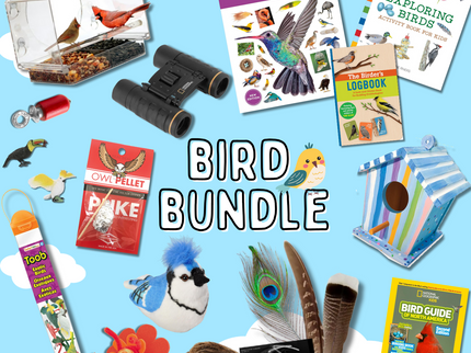 Bird Bundle