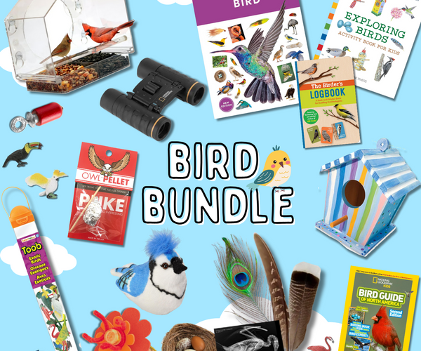 Bird_Bundle_77a5767b-dab9-4b34
