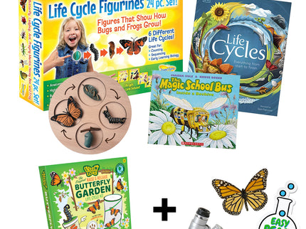 Butterfly Life Cycle Bundle