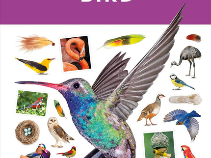 Bird Bundle