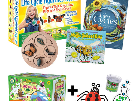 Ladybug Life Cycle Bundle