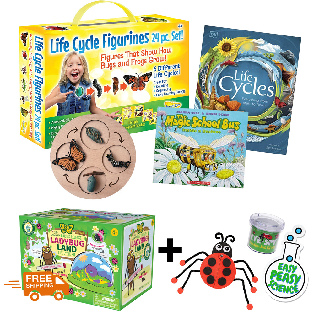 Ladybug Life Cycle Bundle – Easy Peasy Science