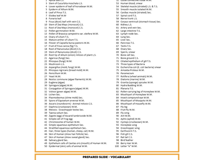 Microscope Accessory Bundle