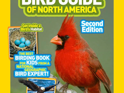 Bird Bundle