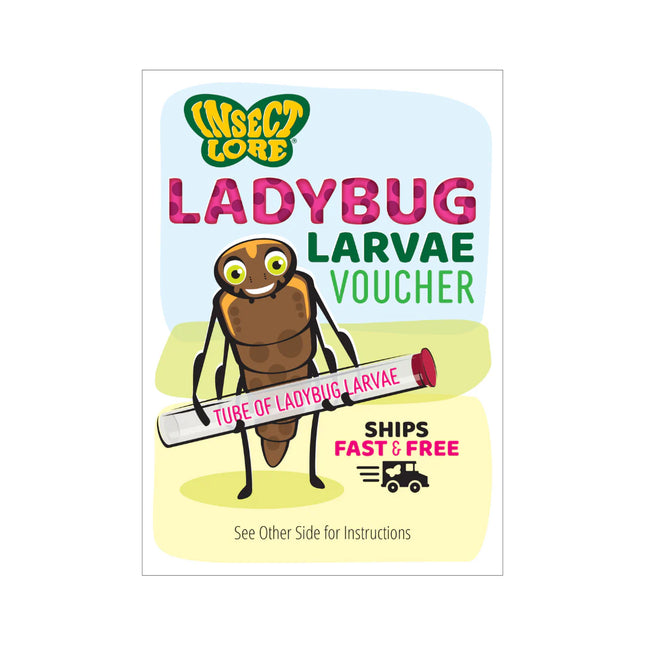 Ladybug Land with Free Shipping and Voucher
