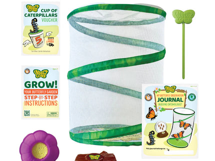 Butterfly Life Cycle Bundle