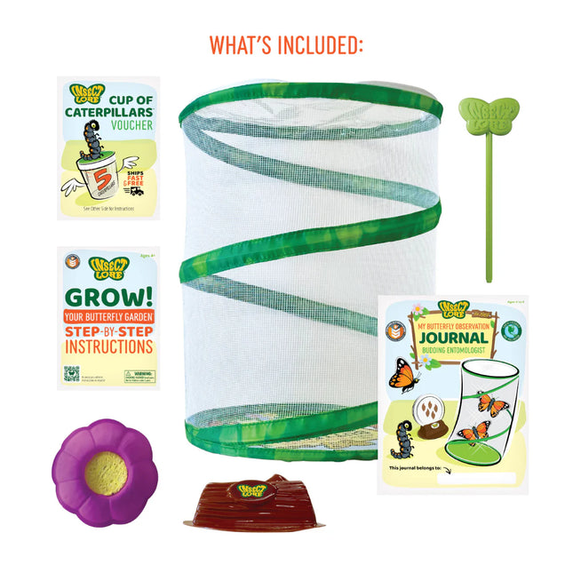 Butterfly Life Cycle Bundle