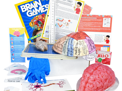 Biology Dissection Box Bundle 6-in-1 image 7