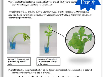 Diffusion Races - Science Project Kit image 3