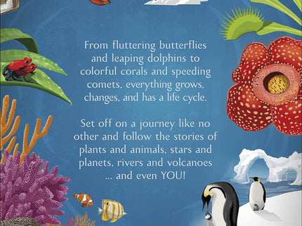 Butterfly Life Cycle Bundle image 7