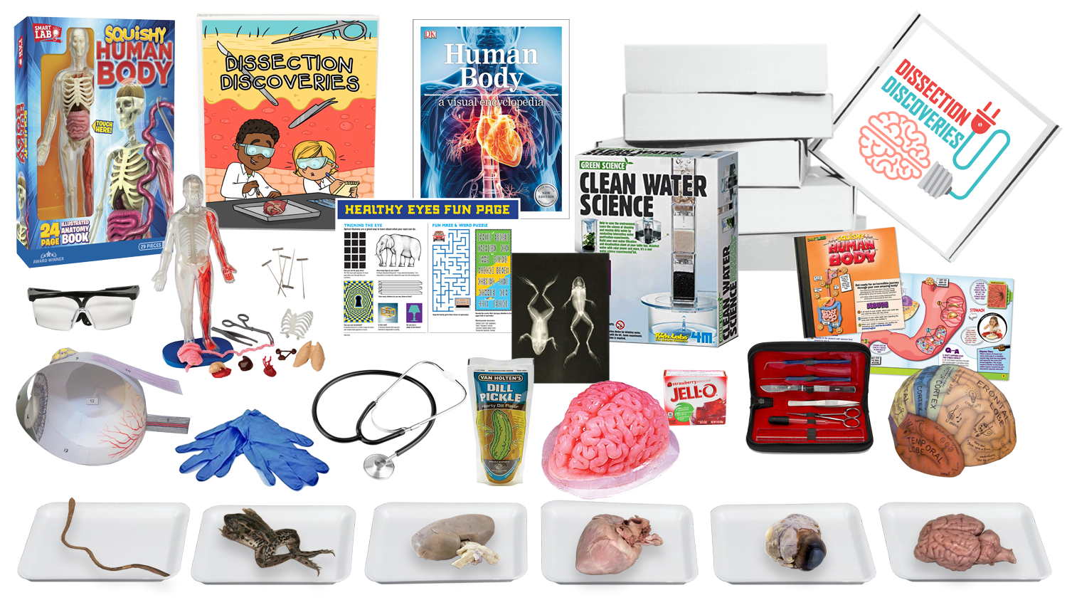 Human Body Discovery & Dissect All-in-One – Easy Peasy Science