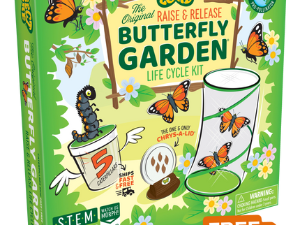 Butterfly Life Cycle Bundle