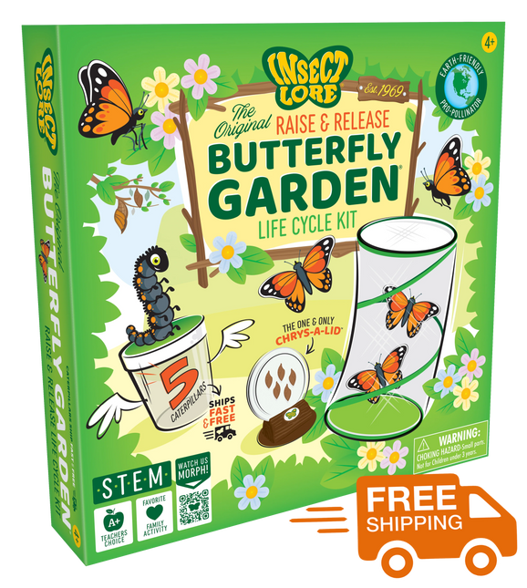 Butterfly Life Cycle Bundle