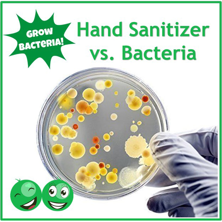 Bacteria vs Sanitizer Science Project Kit – Easy Peasy Science